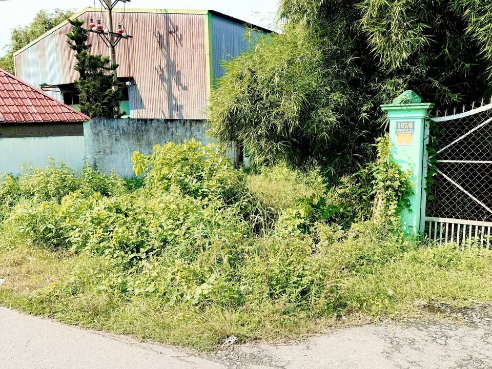 Đất góc 2 mặt tiền Suối Lội, Củ Chi 459m² - Mặt bằng kinh doanh VIP