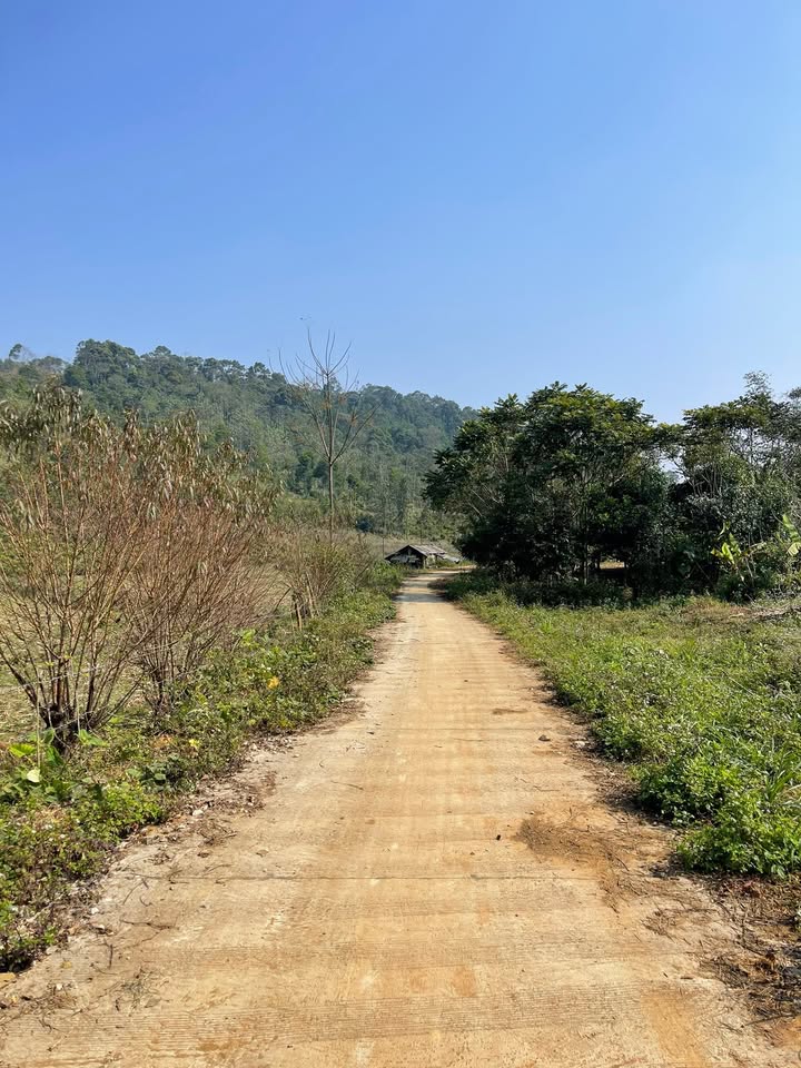 Đất nền 1500m² tại xã Đại An, huyện Thanh Ba, Phú Thọ - Giá chỉ 100 triệu!