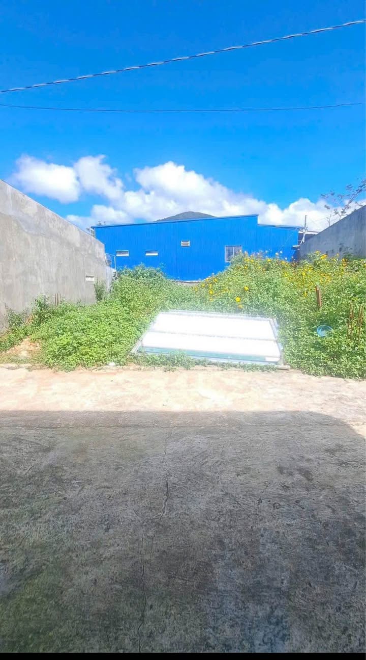 Lô đất thổ cư 119m² xã Hiệp Thạnh - Gần chợ Finom - Giá 1.1 tỷ cần bán gấp!