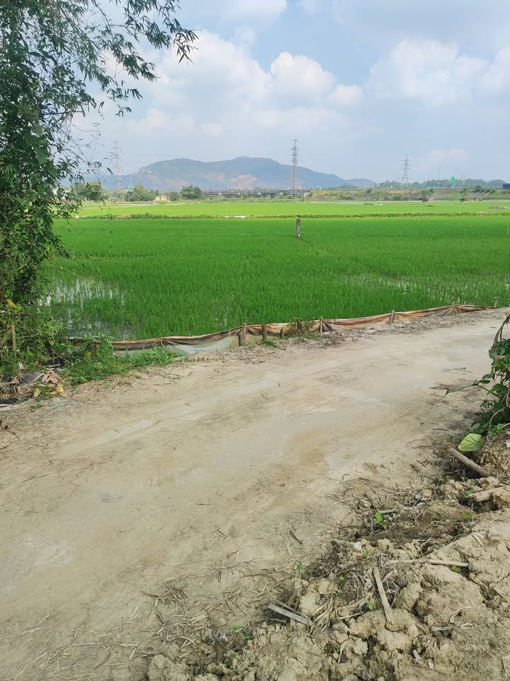 Đất nền Hòa Phong Đà Nẵng 153m² giá 970 triệu - Cơ hội đầu tư tuyệt vời!