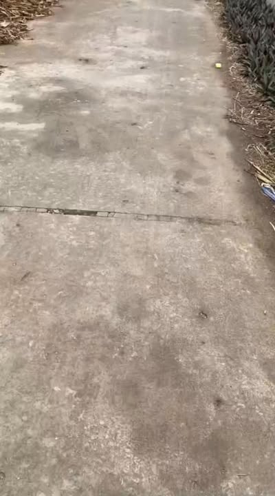 Đất thổ cư 793m² tại xóm 9 Hải Phong - Lô góc đẹp, giá thỏa thuận!