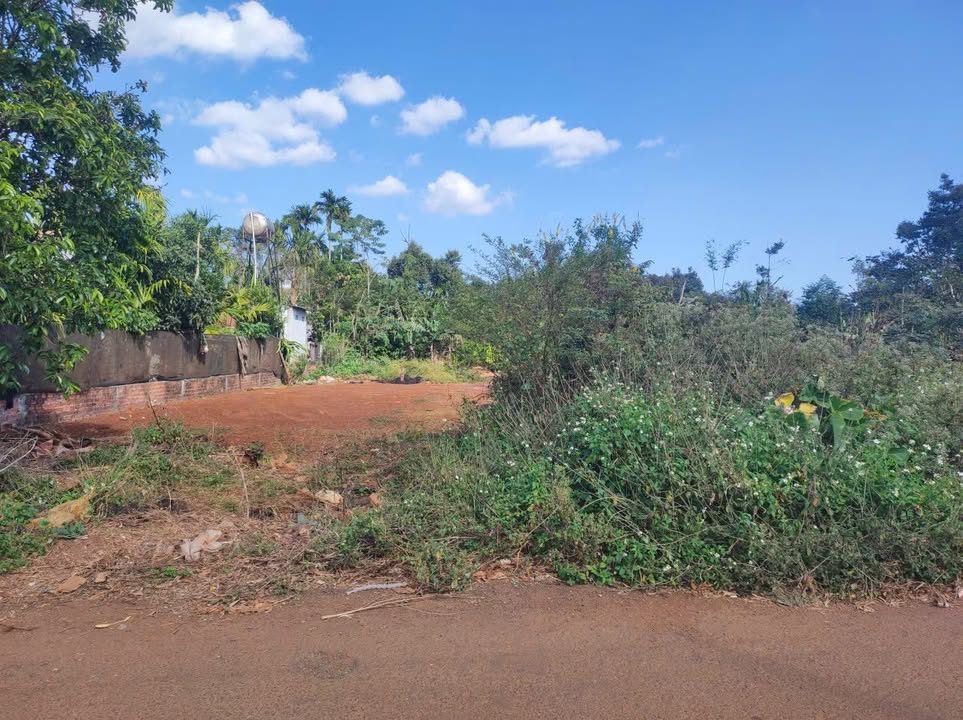 Đất thổ cư Hẻm 171 Nguyễn Thái Bình, 170m² giá 250 triệu - Đầu tư sinh lời ngay!