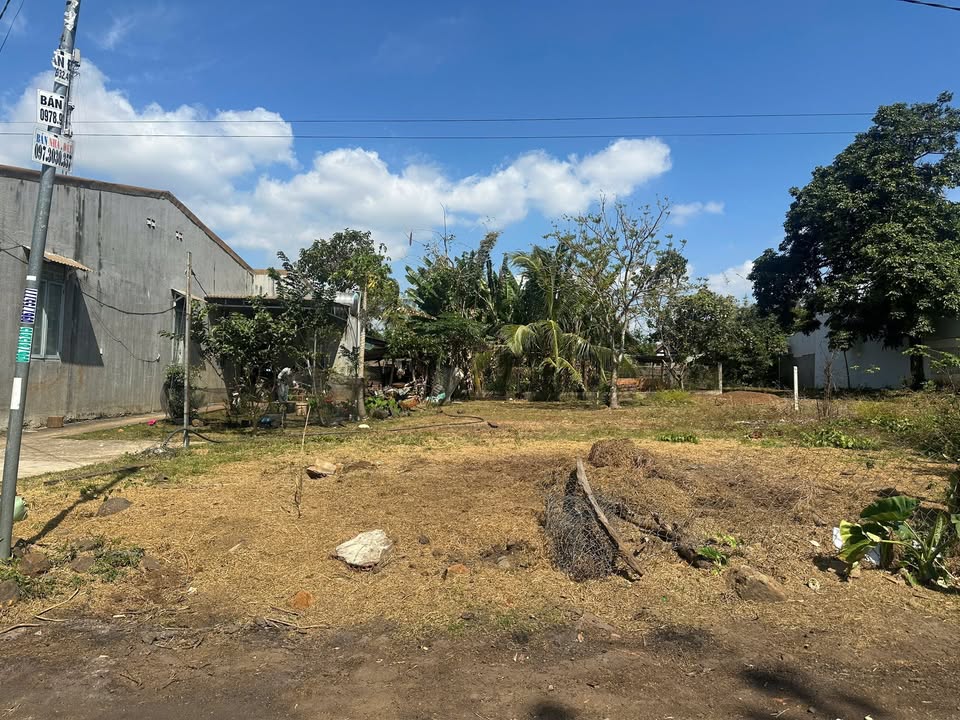 Đất nền Phường Ea Tam, Buôn Ma Thuột 300m² giá 3.6 tỷ - Vị trí tiềm năng!