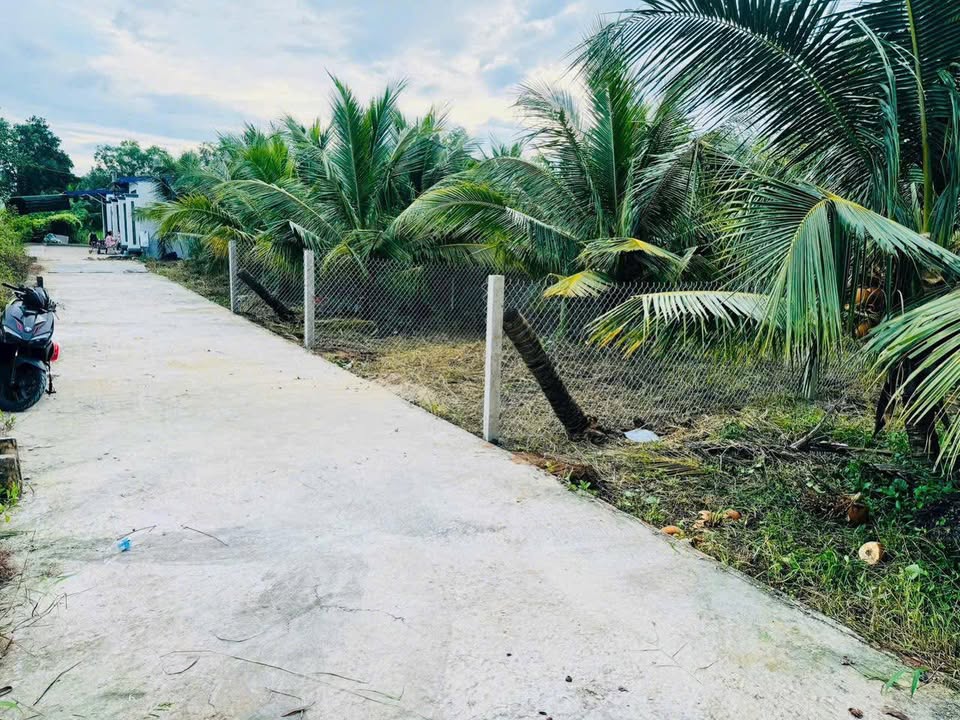 Đất nền Phú Tân Vĩnh Long 187m² giá 750 triệu - Sổ hồng chính chủ, ngay trường học!