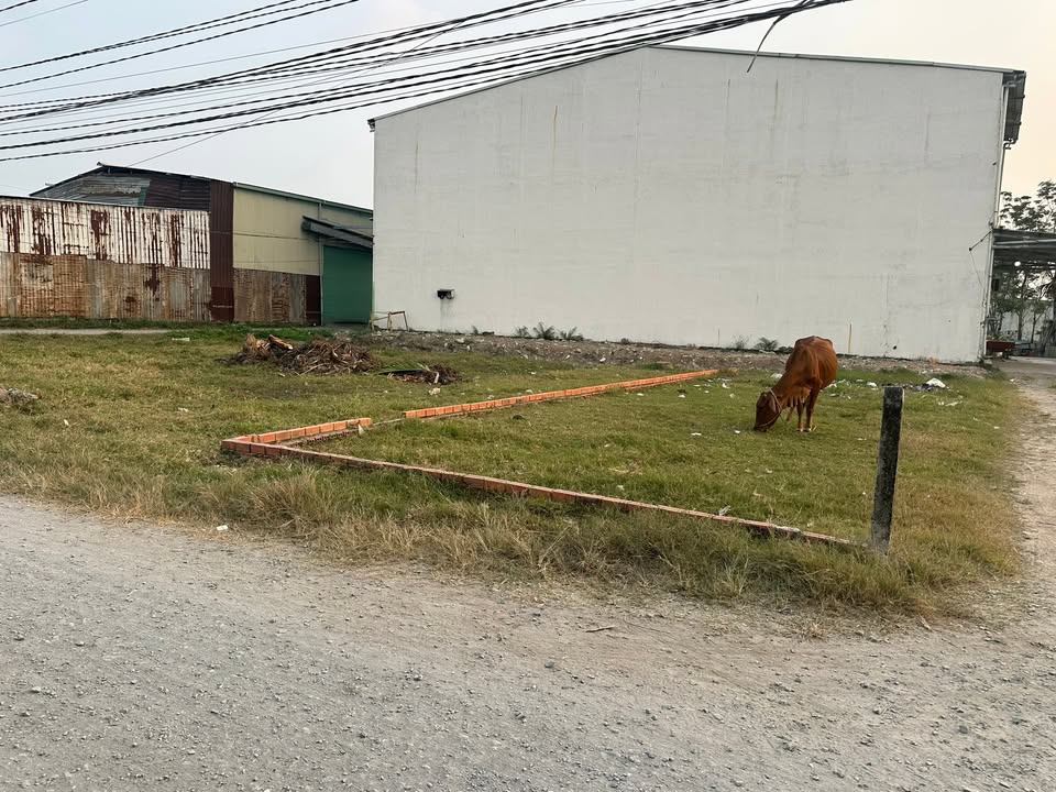 Đất thổ cư mặt tiền đường Đá Xanh lớn, 110m² giá 950 triệu - Tiềm năng kinh doanh lớn!