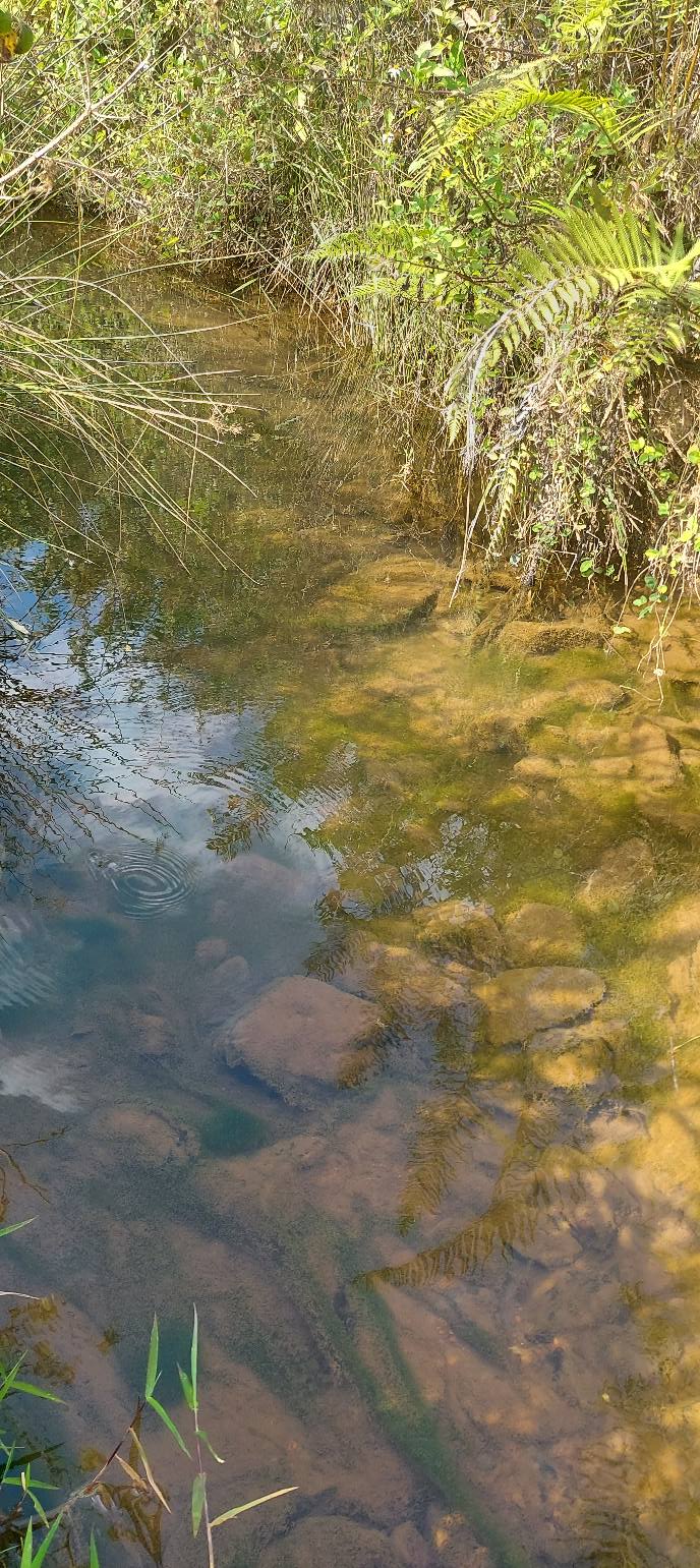 Đất nền Đạ Nhim, Lạc Dương 22ha giá 50.6 tỷ - Tiềm năng đầu tư lớn!