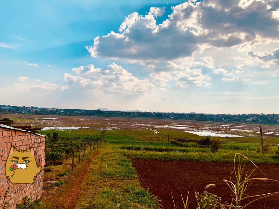 Đất thổ cư 140m² hẻm lớn Lý Thường Kiệt, Pleiku giá 1 tỷ - Vị trí đẹp, thoáng đãng!