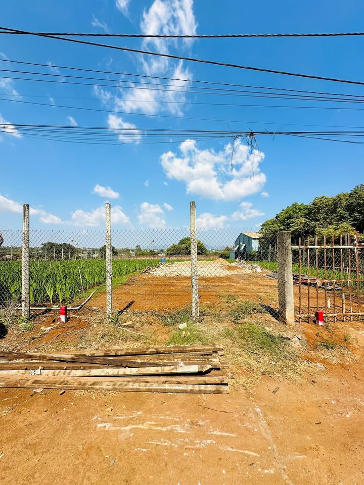 Đất nền hẻm 41 Lý Thường Kiệt, Pleiku 363m² chỉ 900 triệu - Cơ hội đầu tư tuyệt vời!