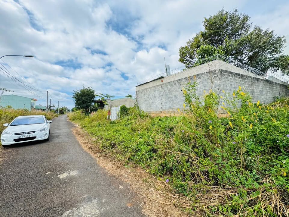 Đất nền mặt tiền Lê Thành Phương, Pleiku 184m² giá 1.5 tỷ - Cơ hội đầu tư lý tưởng!