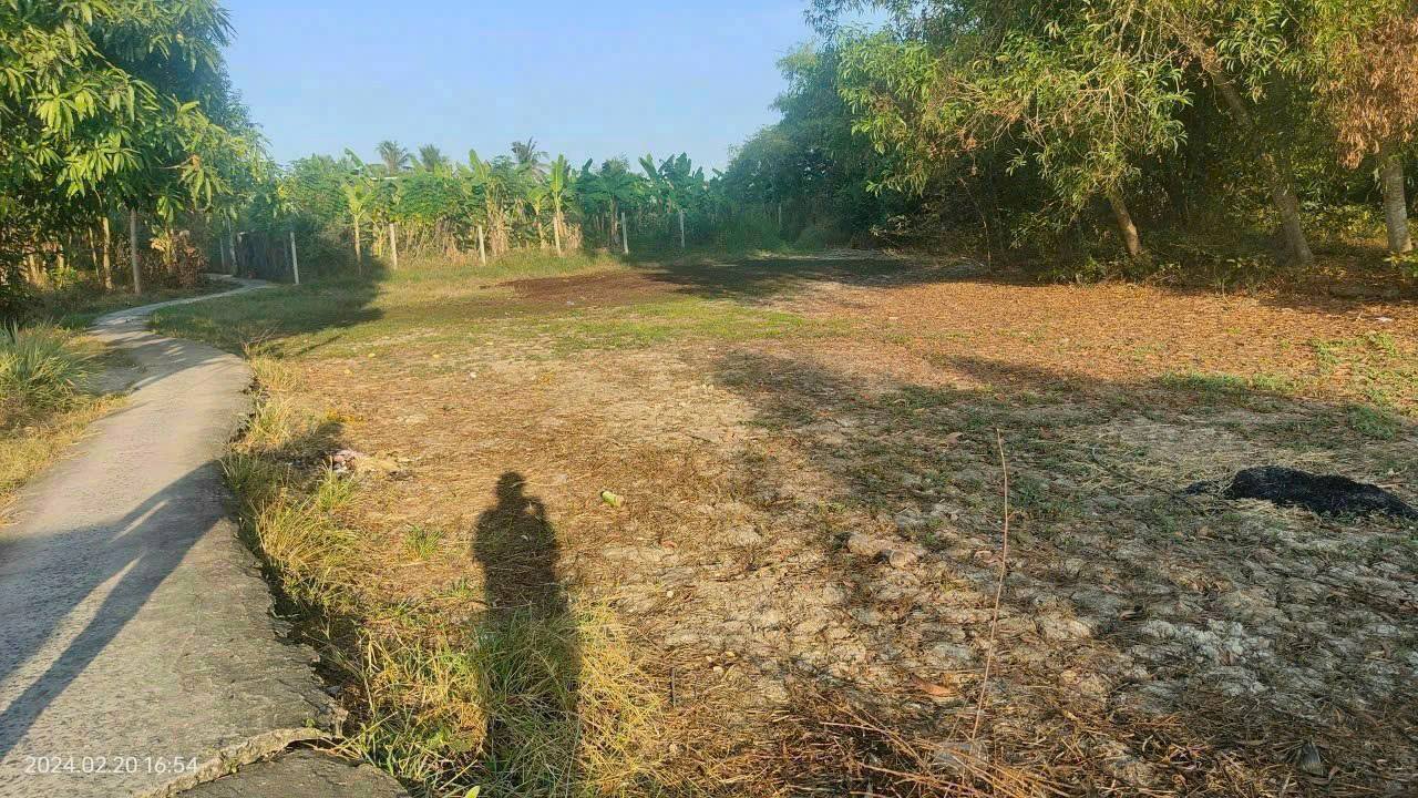 Đất nền xã Phước Lý, huyện Cần Giuộc, 975m² giá 2.5 tỷ - Cơ hội đầu tư tuyệt vời!