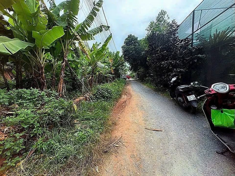 Đất góc 2 mặt tiền Tân Thạnh Đông, Củ Chi 106m² giá 1.7 tỷ - Cơ hội đầu tư hiếm có!