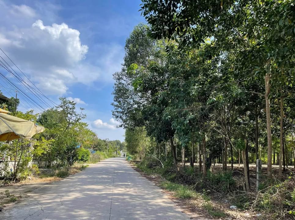 Đất thổ cư 200m² tại Phường Tân An - Giá chỉ 89 triệu - Cơ hội đầu tư tuyệt vời!