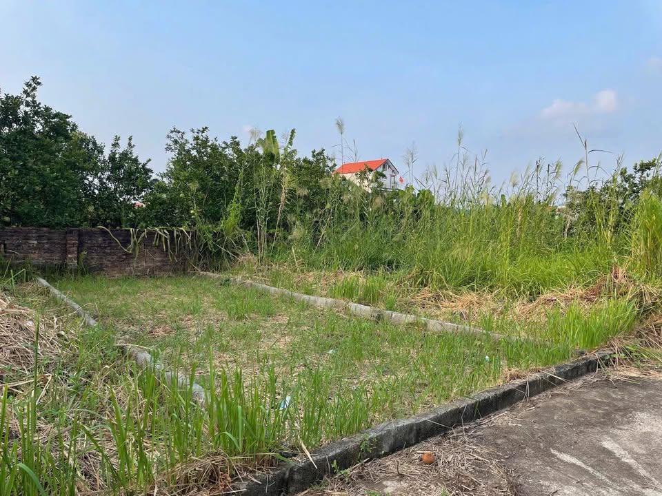 Đất nền đẹp Hồng Vân - Thường Tín 45.1m² giá chỉ 3 tỷ - Tiềm năng đầu tư lớn!