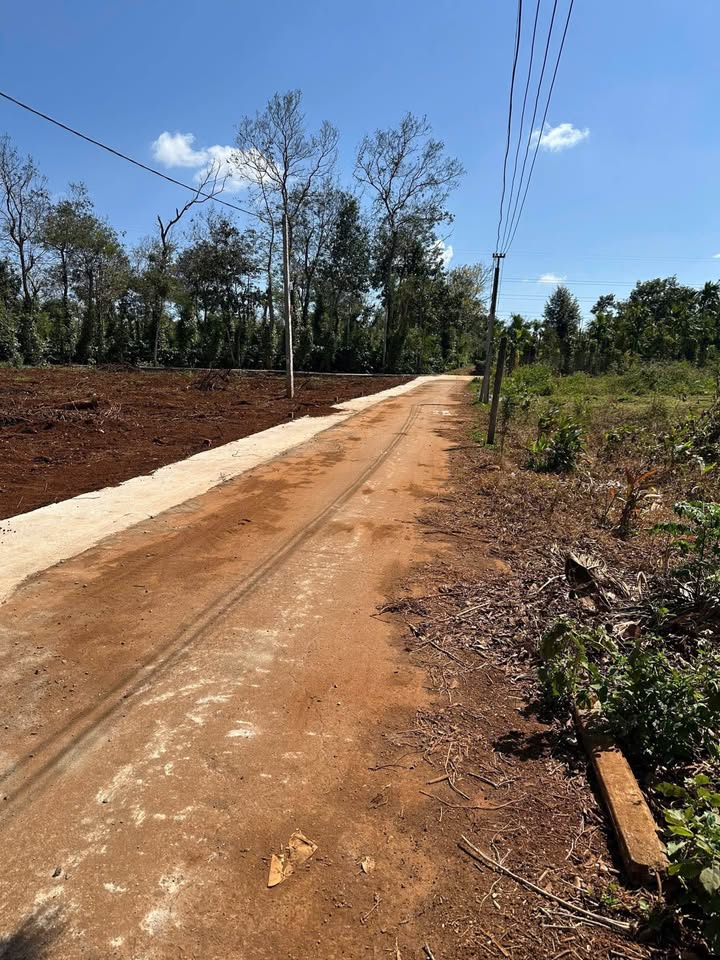 Đất nền hẻm cấp 1 Xã Cuor Đăng 135m² giá tốt - Cơ hội đầu tư hấp dẫn!