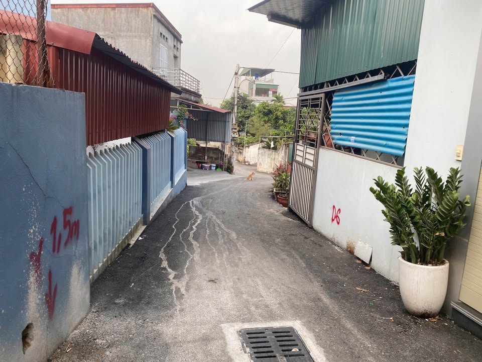 Đất nền Khu 5 Núi Bắc Ninh 87,3m² giá thỏa thuận - Đường ô tô vào tận nơi!