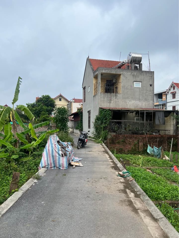 Đất nền Đa Tốn, Gia Lâm 46m² giá 3 tỷ - Sổ đỏ chính chủ sang tên ngay!