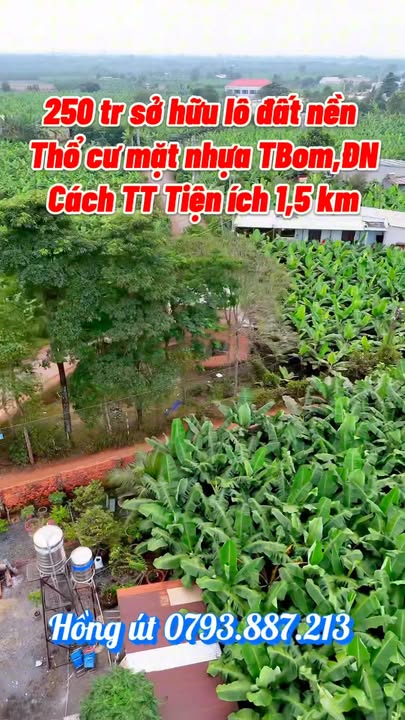 Đất nền thổ cư Bàu Hàm 164m² giá 750 triệu - Đầu tư sinh lời ngay!