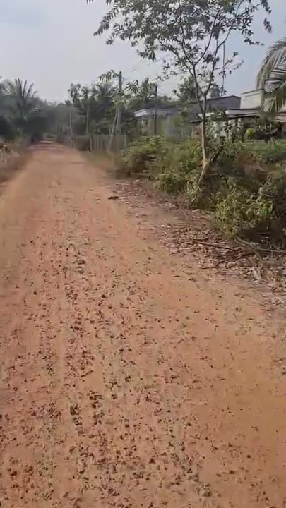 Đất nền thổ cư 500m² xã Phan, huyện Dương Minh Châu chỉ 7.5 tỷ - Cơ hội đầu tư hấp dẫn!