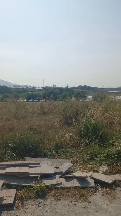 Đất nền Xã Long Điền, Huyện Bàu Bàng, 100m² giá 1.35 tỷ - Cách biển chỉ 5km!