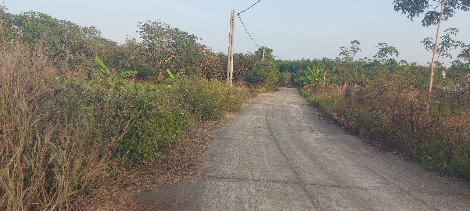 Đất nền 1ha tại Hòa Hiệp, Xuyên Mộc giá chỉ 3.2 tỷ - Cơ hội đầu tư hấp dẫn!