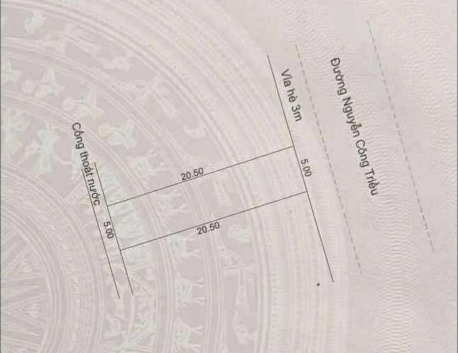 Đất nền 10-12 Nguyễn Công Triều, Đà Nẵng 205m² - Đầu tư sinh lời tuyệt vời!