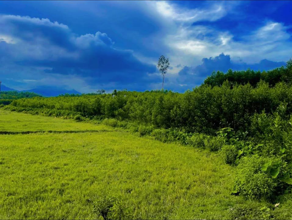 Lô đất nhà vườn Hòa Ninh 4600m² giá 7 tỷ - Đầu tư lý tưởng!