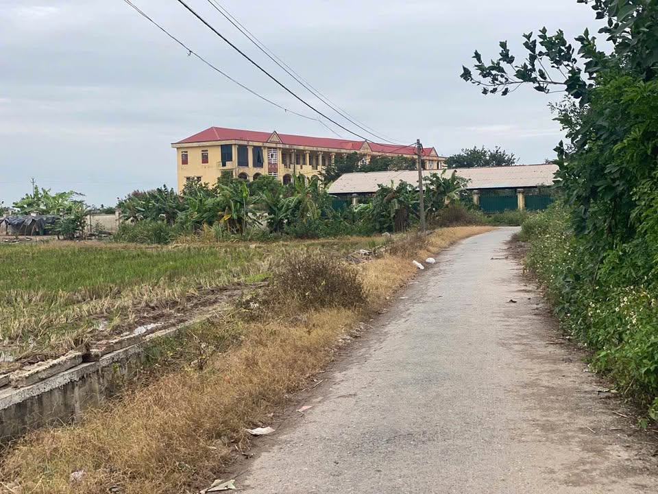 Đất nền Tây Lương, Tiền Hải, Thái Bình 103m² chỉ 600 triệu - Cơ hội đầu tư tuyệt vời!