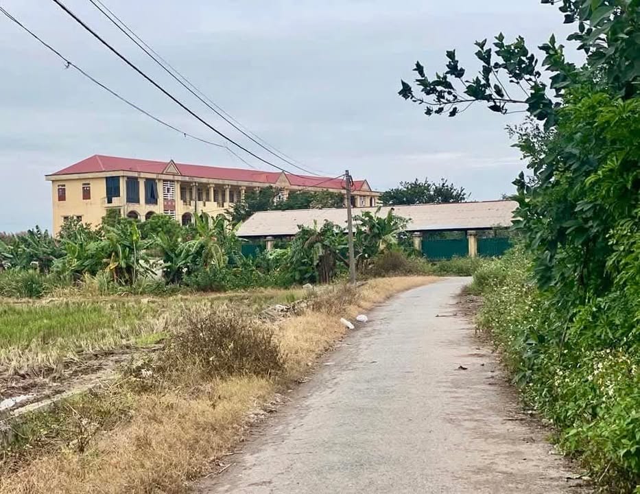 Đất nền Tây Lương, Huyện Tiền Hải, 103m² - Cơ hội đầu tư sinh lời!