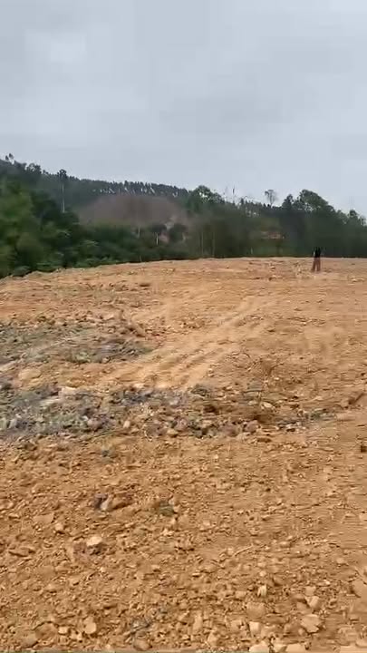 Mảnh vườn rộng 1ha tại Đồng Kỳ, Bắc Ninh - Giá tốt đầu tư!