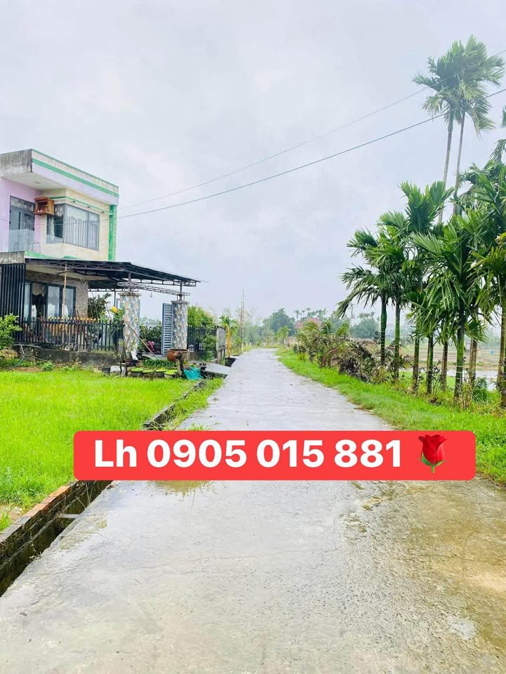 Đất nền Điện Minh 170m² giá 1 tỷ - Gần trường học, ô tô vào tận nơi!