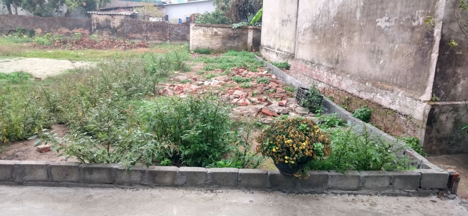 Đất nền Tân Bình, Thái Bình 130m² giá 800 triệu - Đầu tư sinh lời ngay!