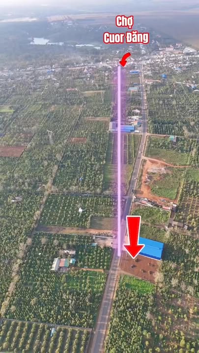 Bán đất mặt tiền đường Tráng Đông, Buôn Hồ, 1850m² - Cơ hội đầu tư tuyệt vời!