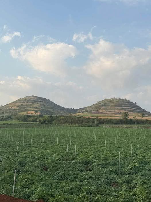 Đất nền xã Phú Hội, Đức Trọng, Lâm Đồng 3136m² giá 4.15 tỷ - Tiềm năng tăng giá cao!