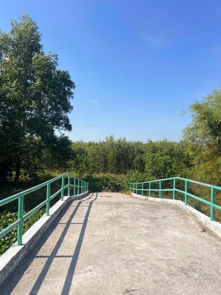 Đất nền Vị Thanh 520m² giá 1.1 tỷ - Cách bệnh viện Sản Nhi chỉ 100m