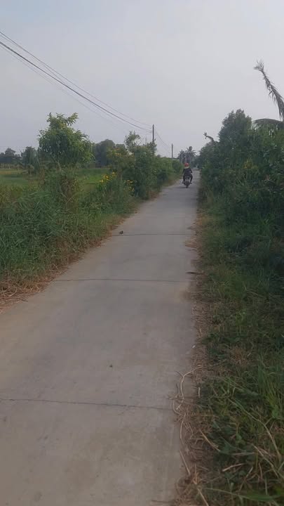 Đất nền xã Tân Thủy, huyện Ba Tri 500m² giá 690 triệu - Cơ hội đầu tư hấp dẫn!