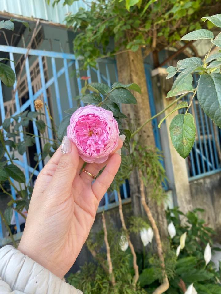 Đất nền đầu tư tại Khối 5, Xã Ea Sô, 184m² giá chỉ 300 triệu - Cơ hội vàng cho nhà đầu tư!