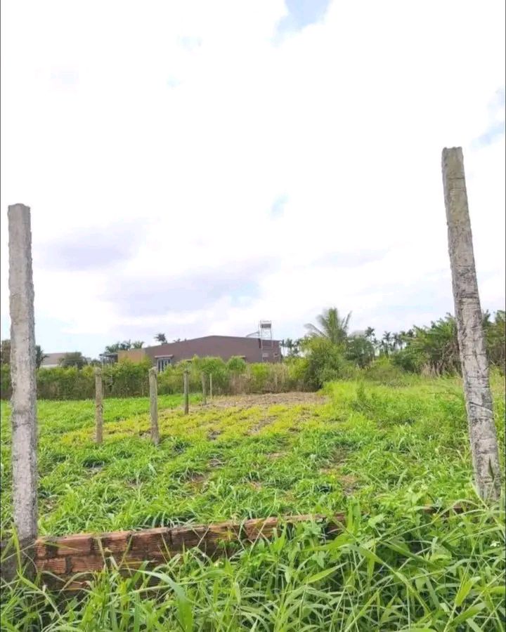 Đất nền xã Ea Đar, huyện Ea Kar, 125m² giá chỉ 2xx triệu - Cơ hội đầu tư hiếm có!