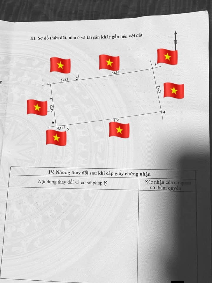 Đất vườn Dừa 2,600m² tại Ấp Hoa Lâm, Mỏ Cày Bắc - Chỉ 1.75 tỷ!