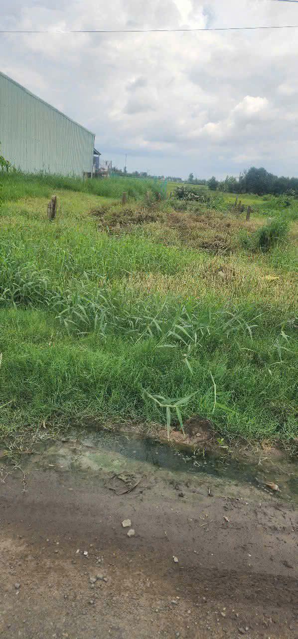 Cho thuê đất nền 600m² tại Xã Gia Thuận - Giá chỉ 2.5 triệu/tháng