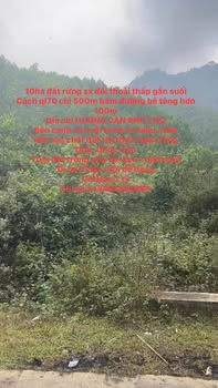 Đất rừng sản xuất 10ha tại Hương Cần, Thanh Sơn - Giá chỉ 2 tỷ!