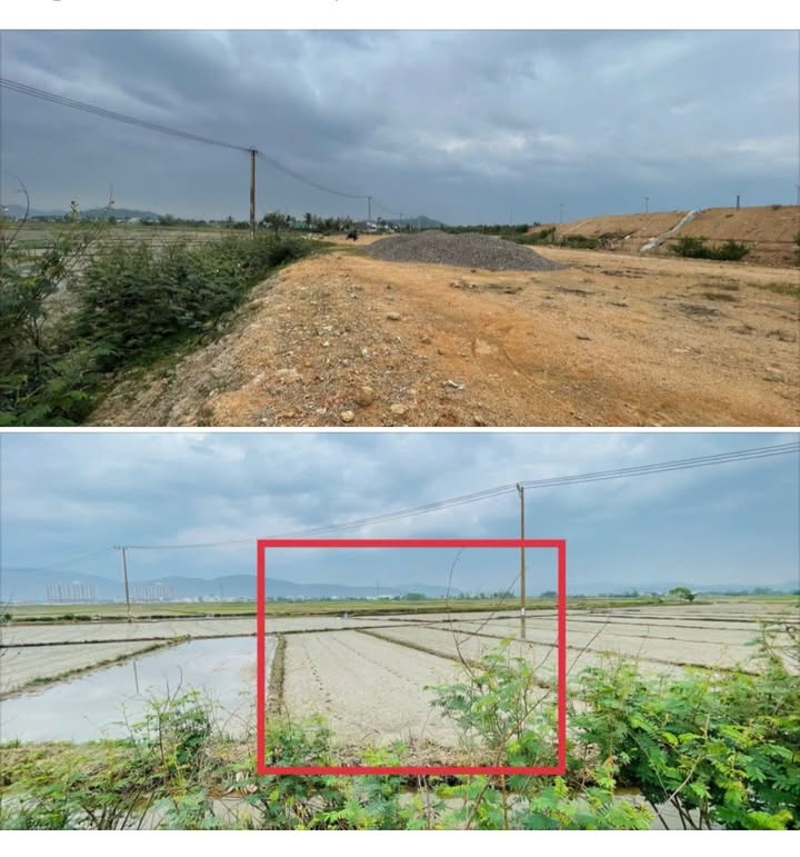 Đất nền Khu vực 7 Nhơn Bình, Quy Nhơn 720m² giá chỉ 200 triệu - Cơ hội đầu tư tuyệt vời!