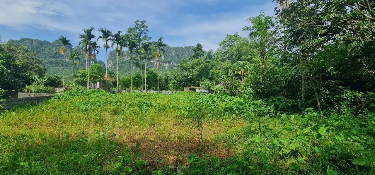 Đất nền xã Lương Sơn, Phú Thọ 521m² giá 1.5 tỷ - Pháp lý rõ ràng!