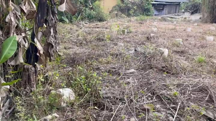 Đất nền thổ cư 1189m² tại xã Cư M'Lan, huyện Ea Súp - Cơ hội đầu tư sinh lời