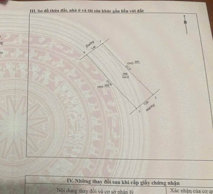 Đất nền lối 2 đường Lê Viết Thuật, 164m² giá 3 tỷ - Vị trí đắc địa gần Đại học Y Dược Nghệ An!