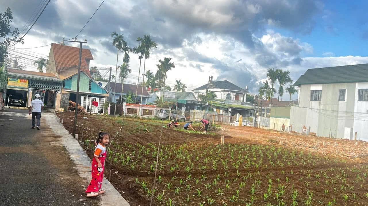 Đất thổ cư Hẻm 30 Tây Sơn, Bảo Lộc 80m² giá 1.65 tỷ - Cơ hội đầu tư tuyệt vời!