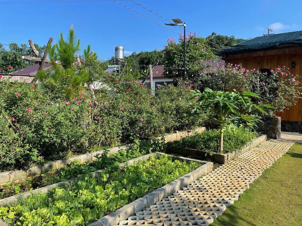 Nhà phố Bảo Lộc 525m² giá 2.8 tỷ - Sẵn sàng vào ở ngay!