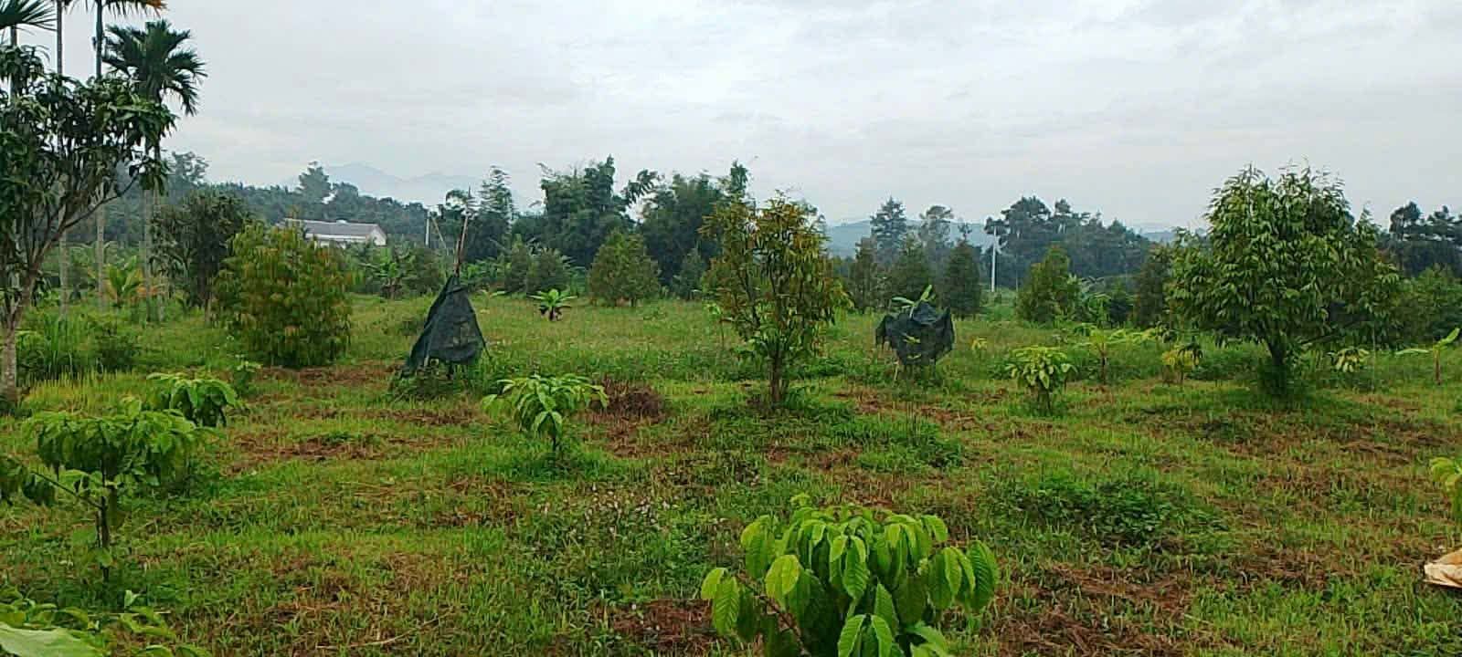 Đất thổ cư 100% tại Thôn 9, Xã Tân Lạc, 10.000m² giá 4 tỷ - Sẵn sàng xây dựng ngay!