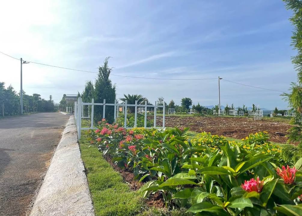 Đất nền thổ cư Thôn 11 Lộc An 135m² giá chỉ 380 triệu - Cơ hội đầu tư tuyệt vời!