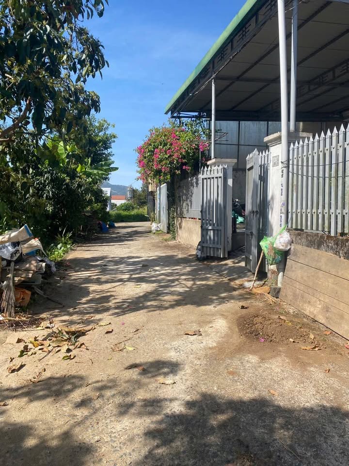 Nhà cấp 4 hẻm Lê Thị Riêng, Lộc Châu 320m² giá 1.999 tỷ - Mặt tiền rộng, thổ cư 100%!