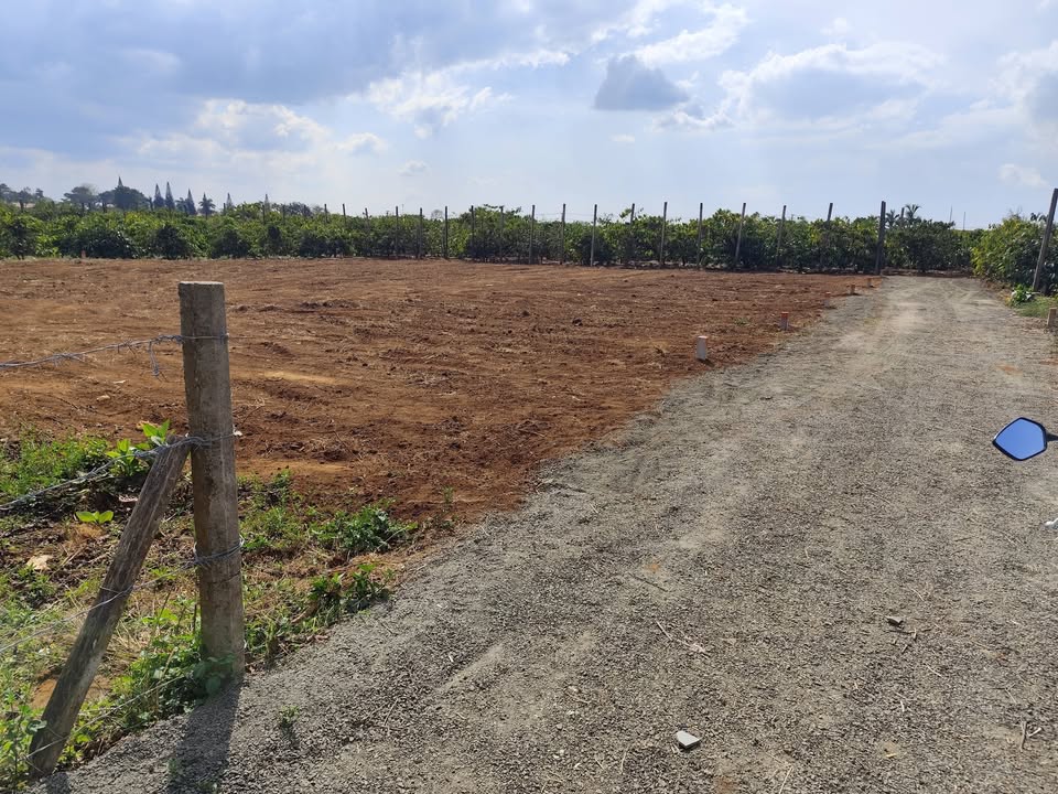 Đất nền hẻm 100 Nguyễn Kiệm, 140m² giá 400 triệu - Đầu tư sinh lời ngay!